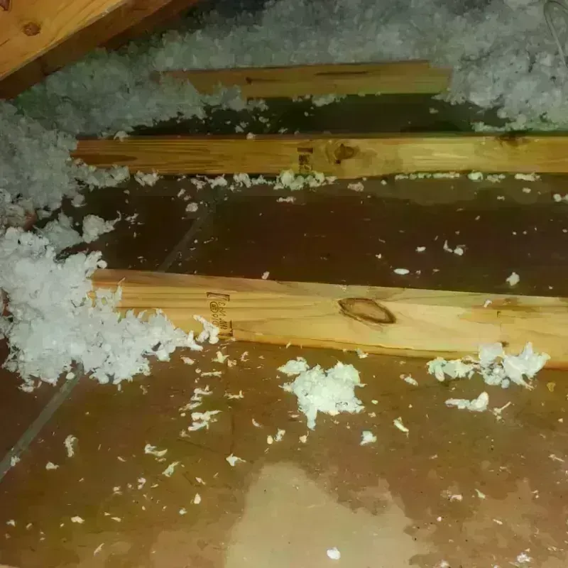 Attic Water Damage in Ladue, MO